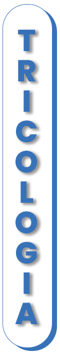 titoli_servizi_trico